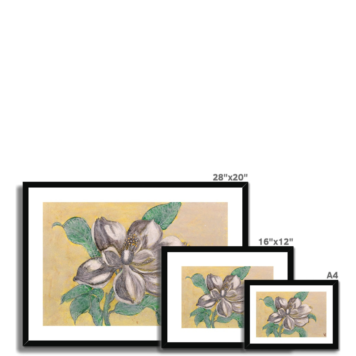 Magnolia, Framed & Mounted Print