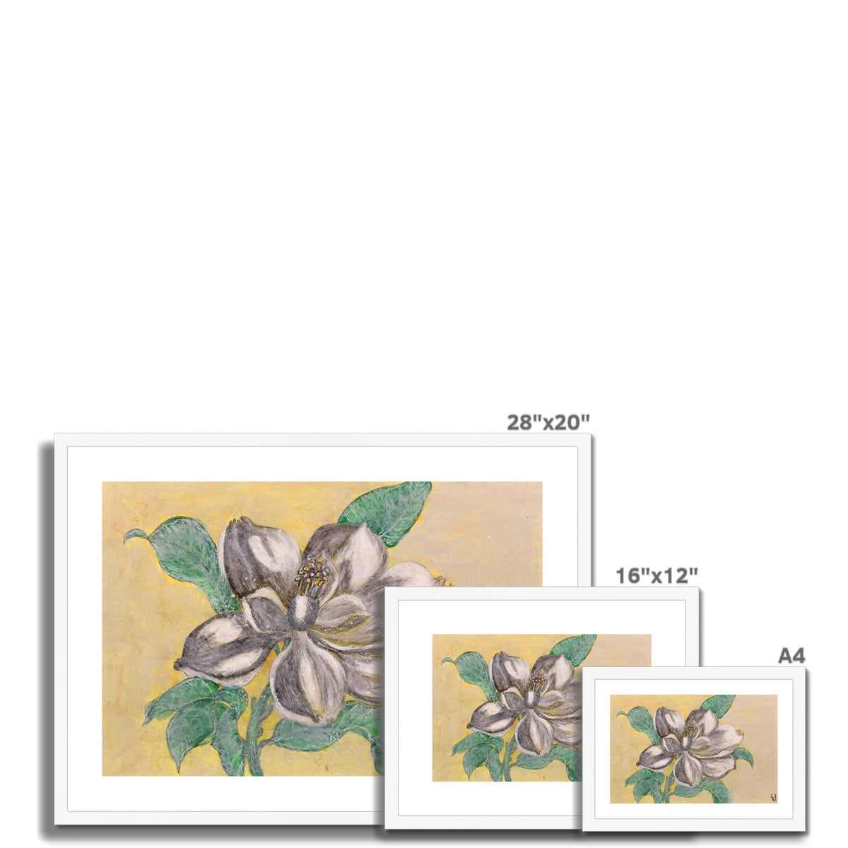 Magnolia, Framed & Mounted Print